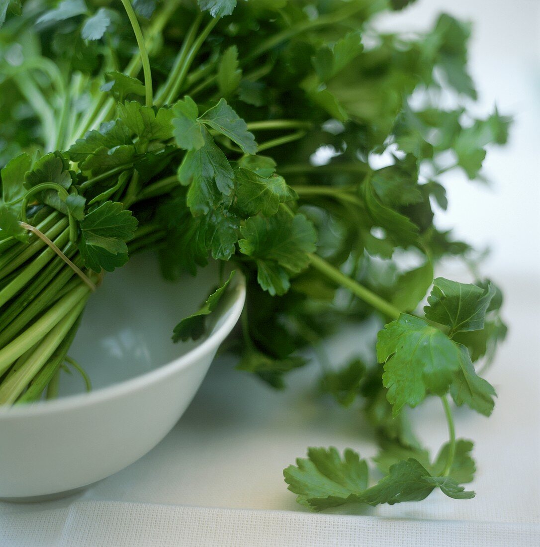 Bunch of parsley in a white dish