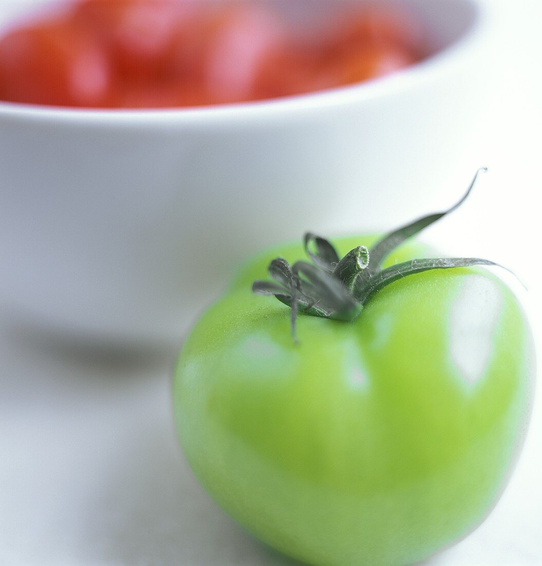 Whole green tomato in front of a bowl of red tomatoes