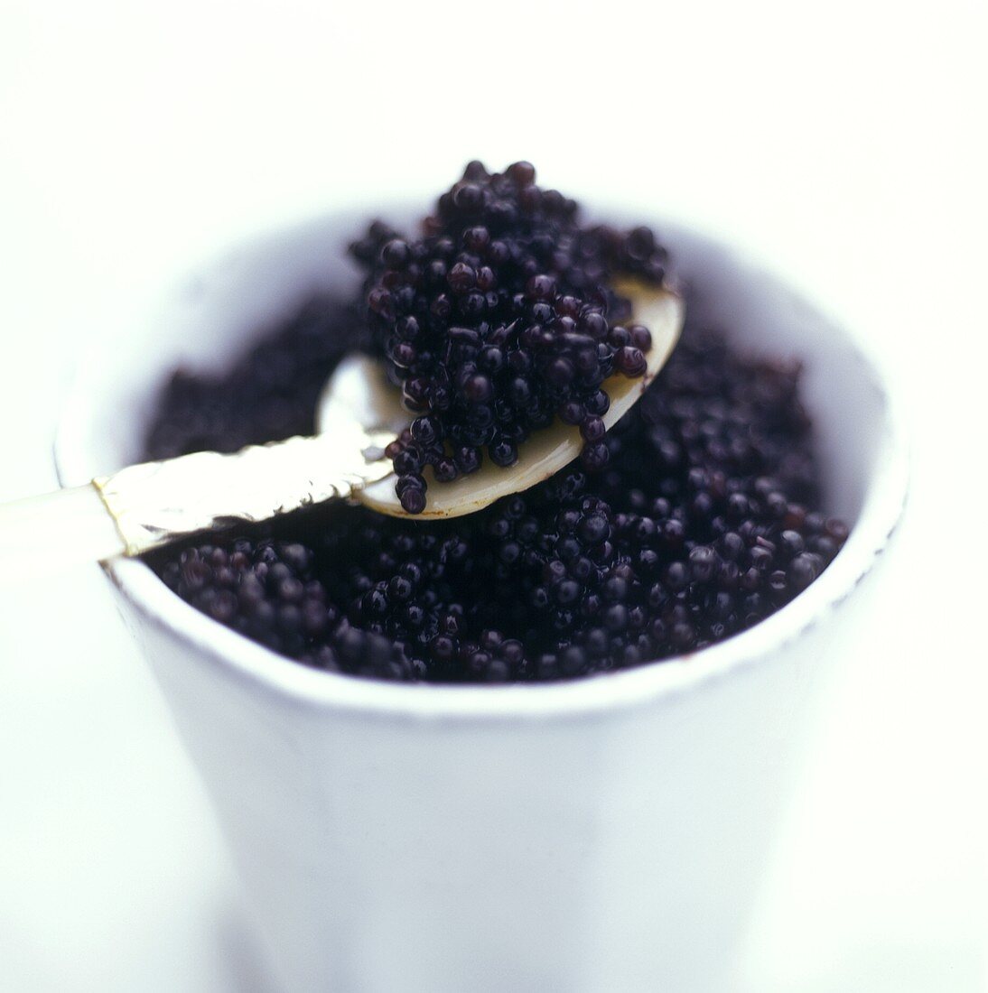 Black caviare in a cup and on tortoiseshell spoon