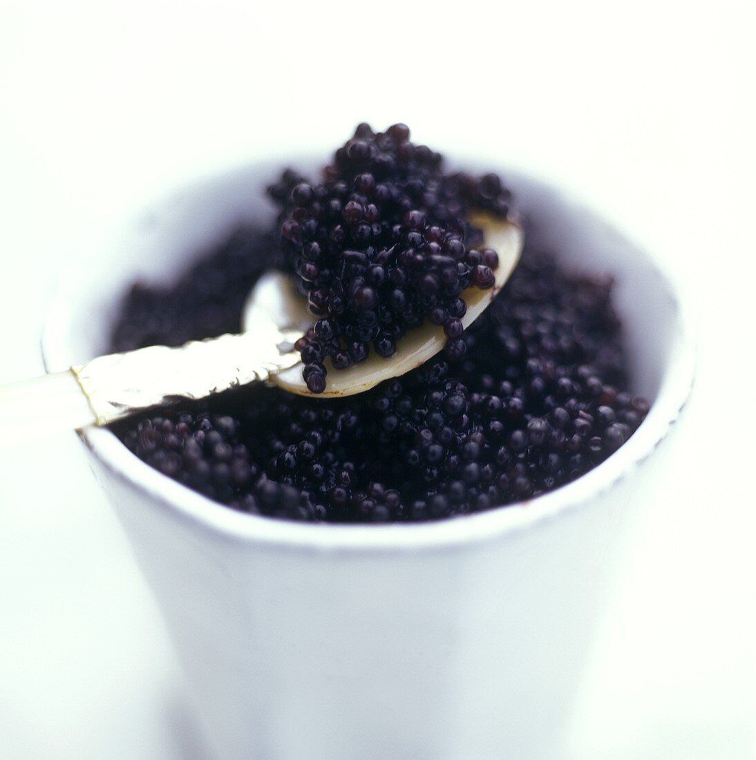 Schwarzer Kaviar in einer Tasse und auf Schildpatt-Löffel