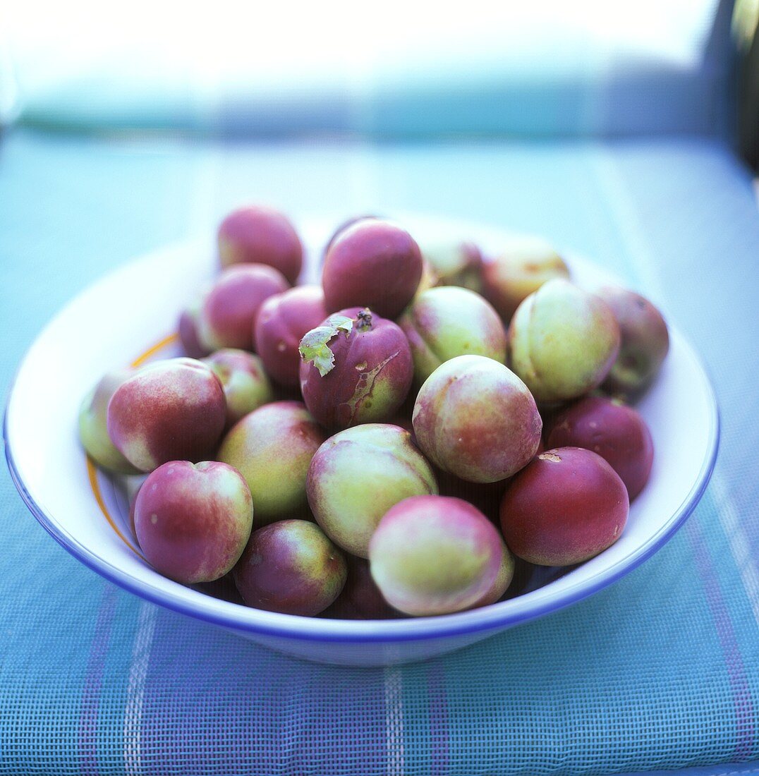 Greengages in a ceramic bowl
