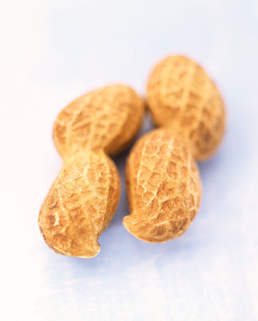 Two peanuts with shells