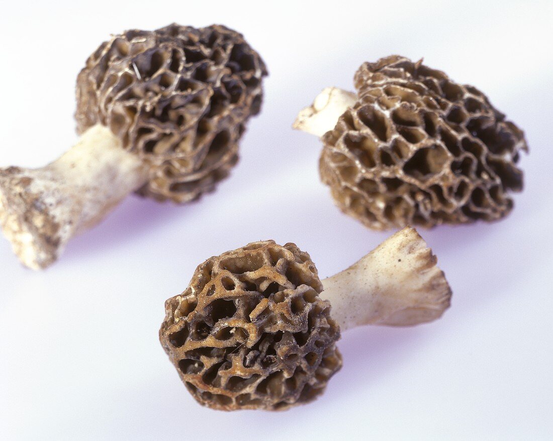 Three morels