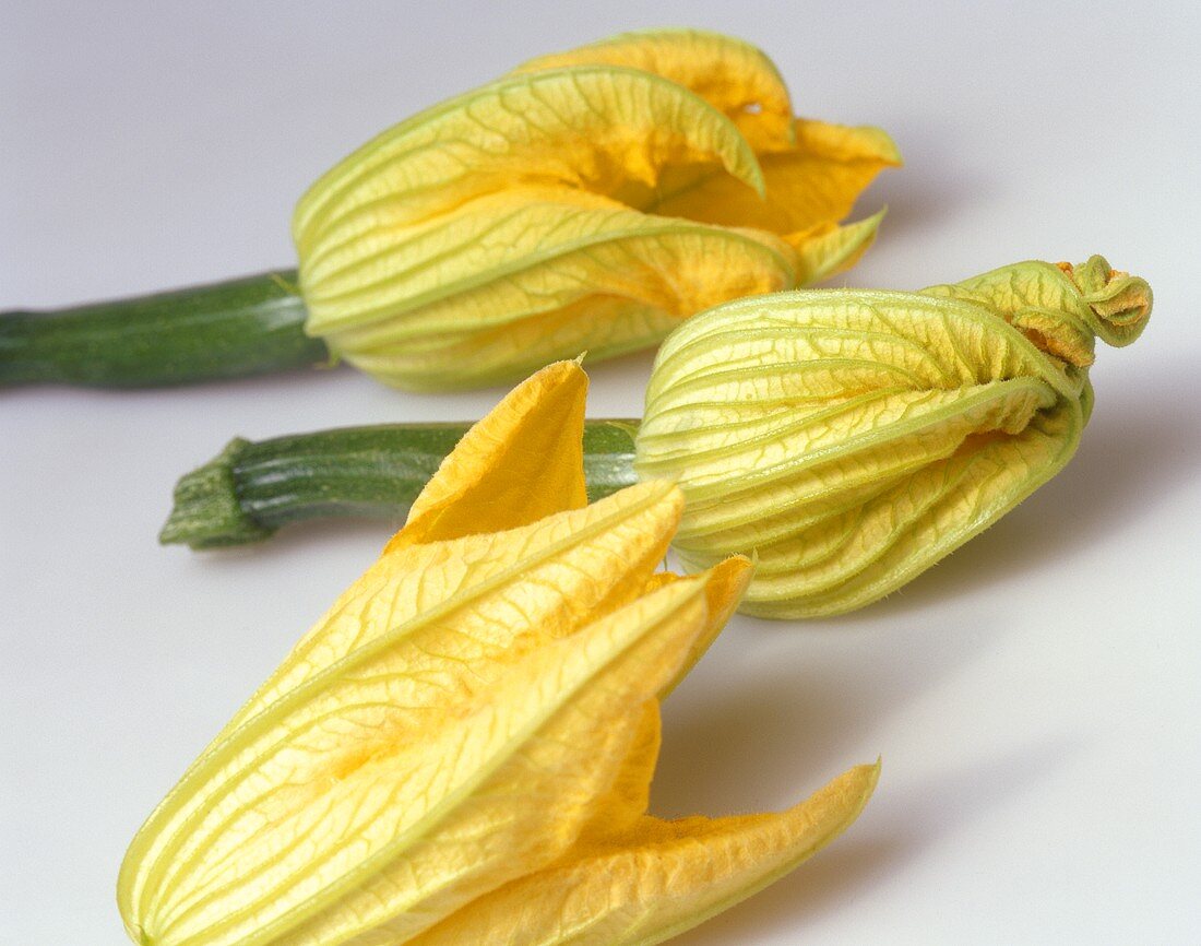 Three courgette flowers with courgettes