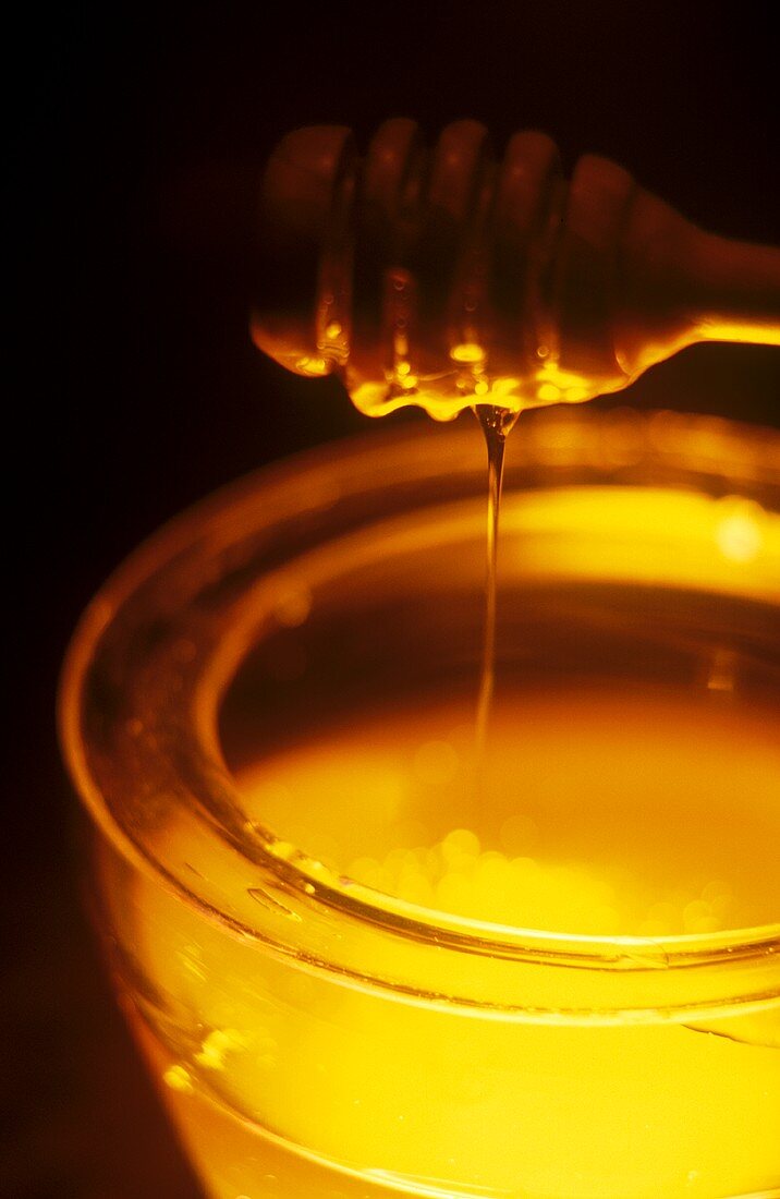 Illuminated jar of chestnut honey and honey dipper