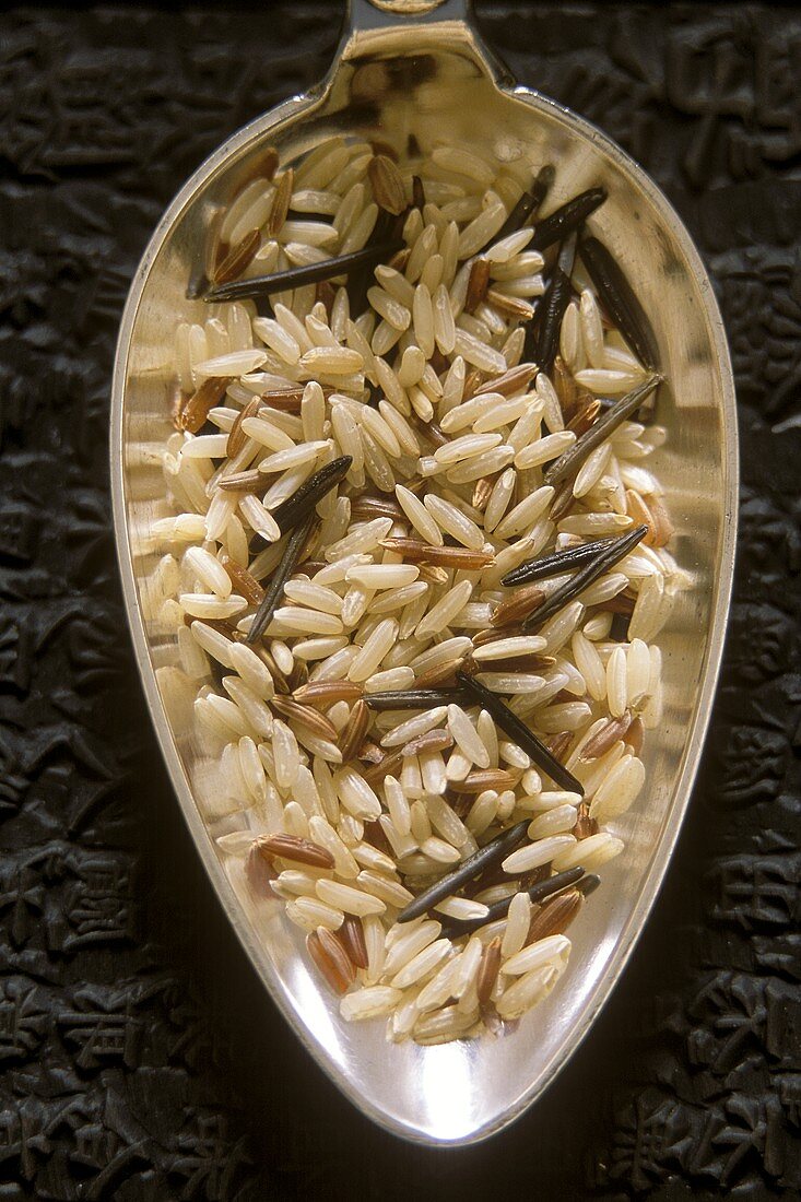 Uncooked wild rice mixture on silver spoon