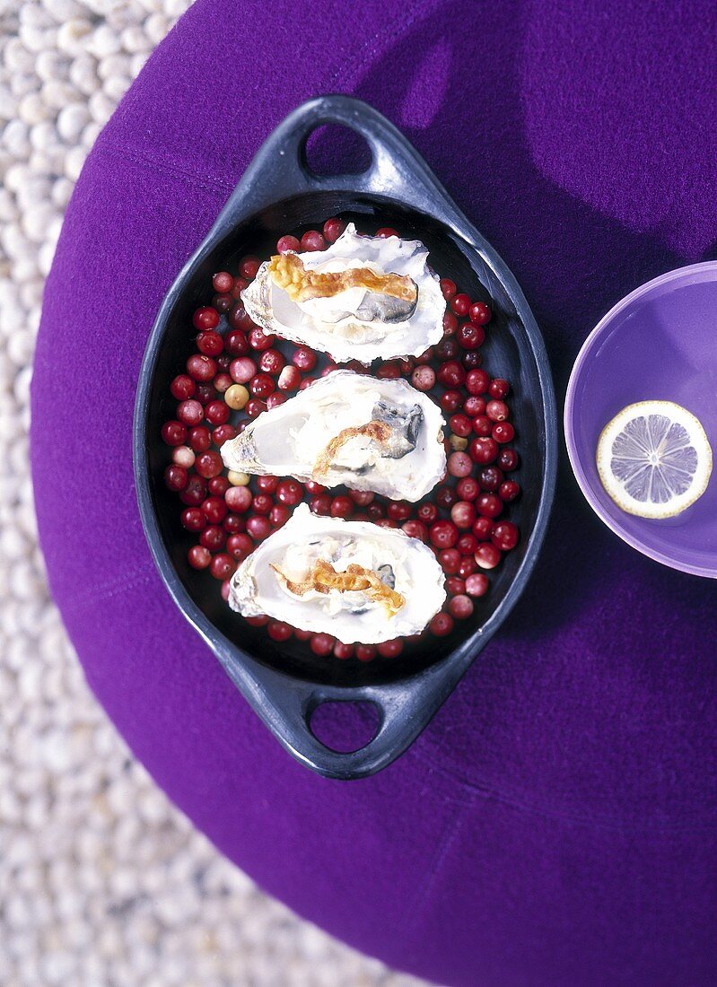 Oysters with smoked ham on cranberries