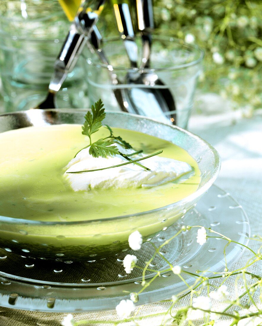Spring cream of herb soup