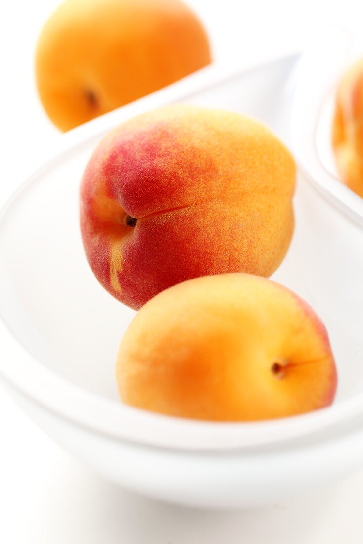 Apricots in a white bowl