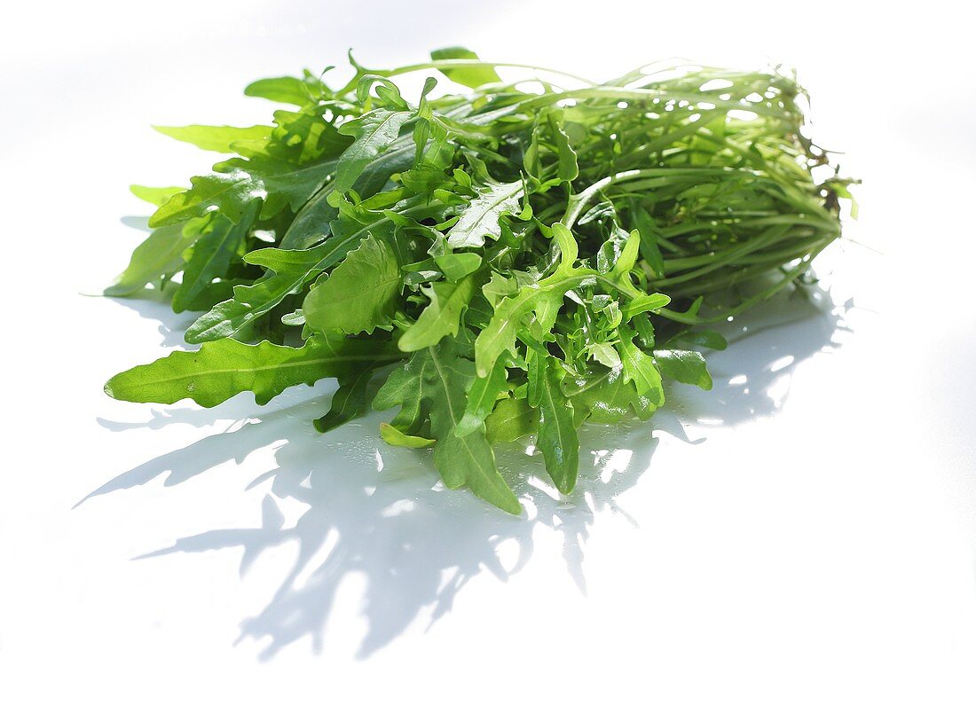 Salatrauke (Rucola)