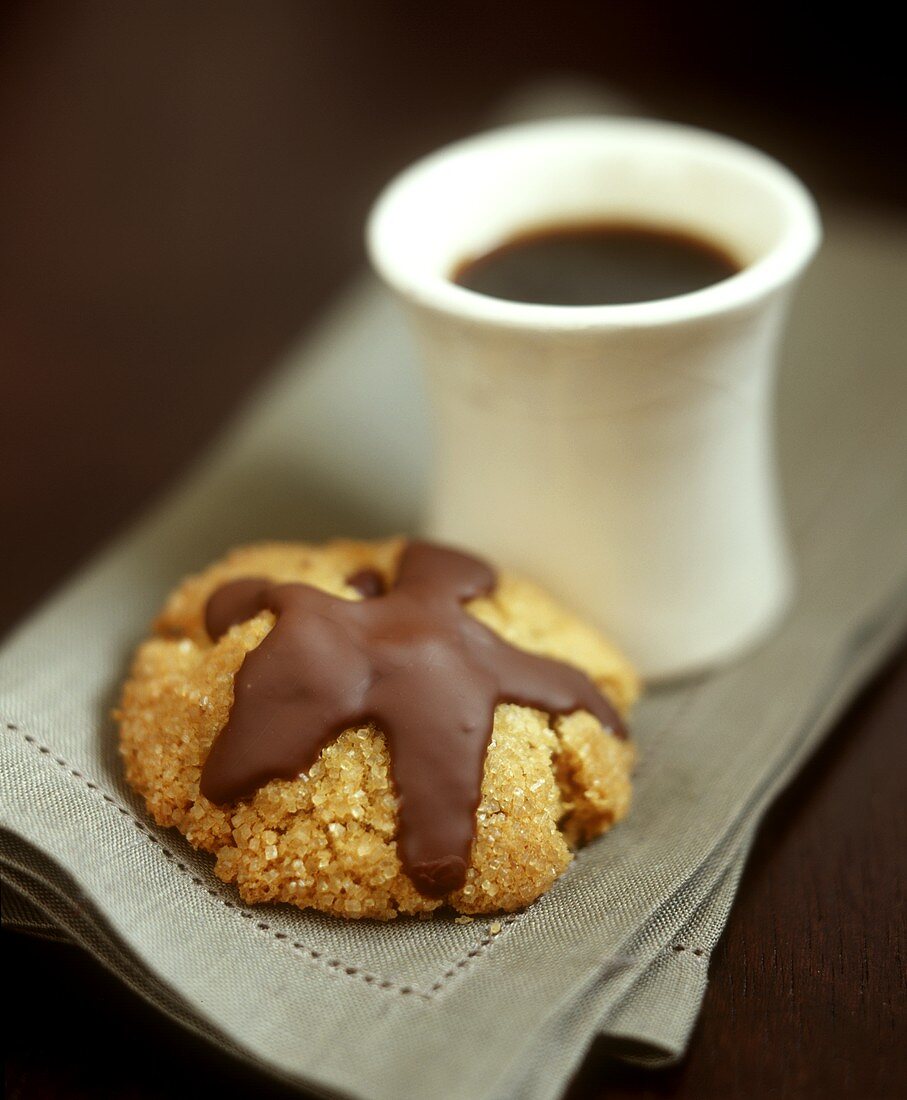 Coffee sand biscuits with chocolate icing