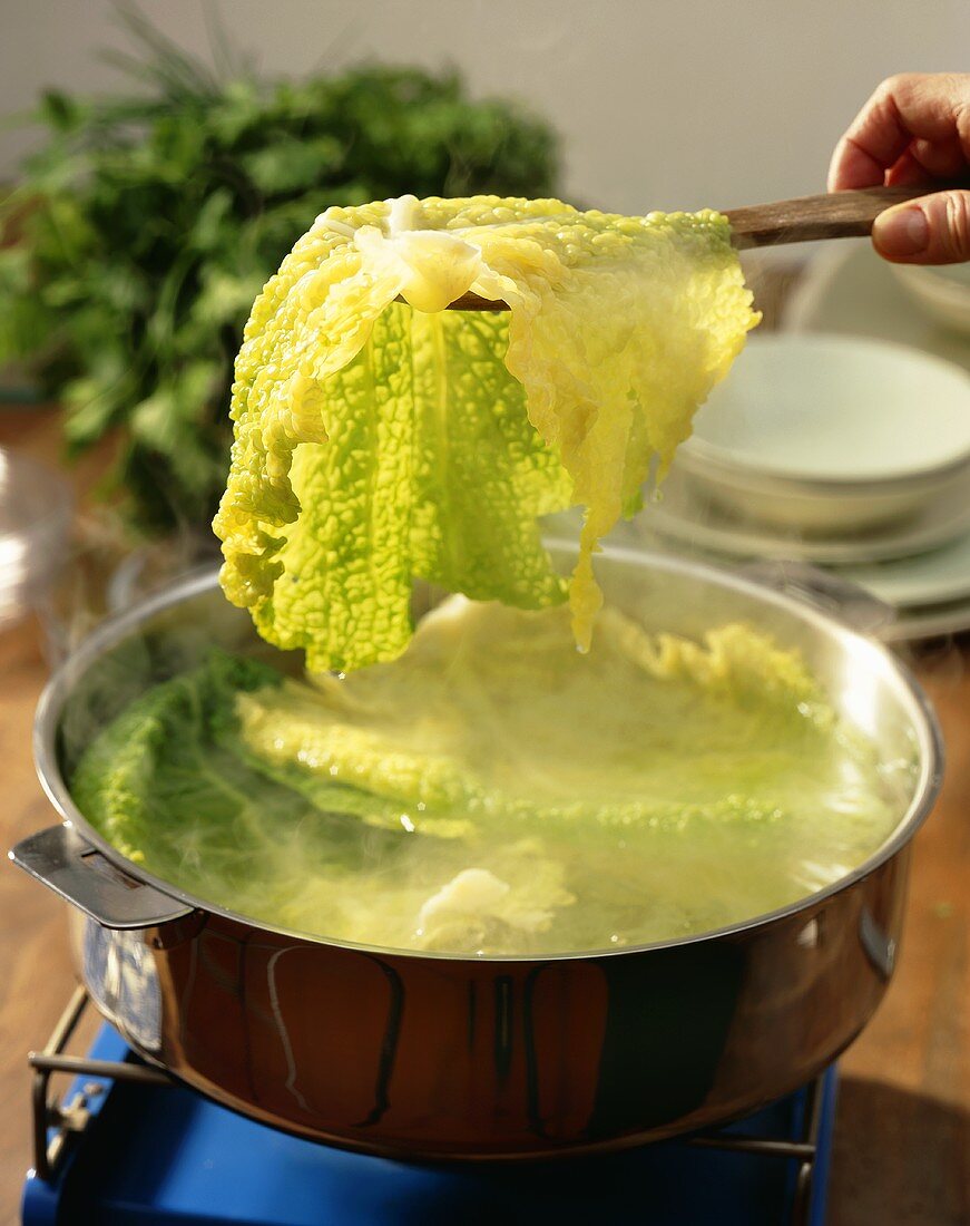 Boiling cabbage leaves