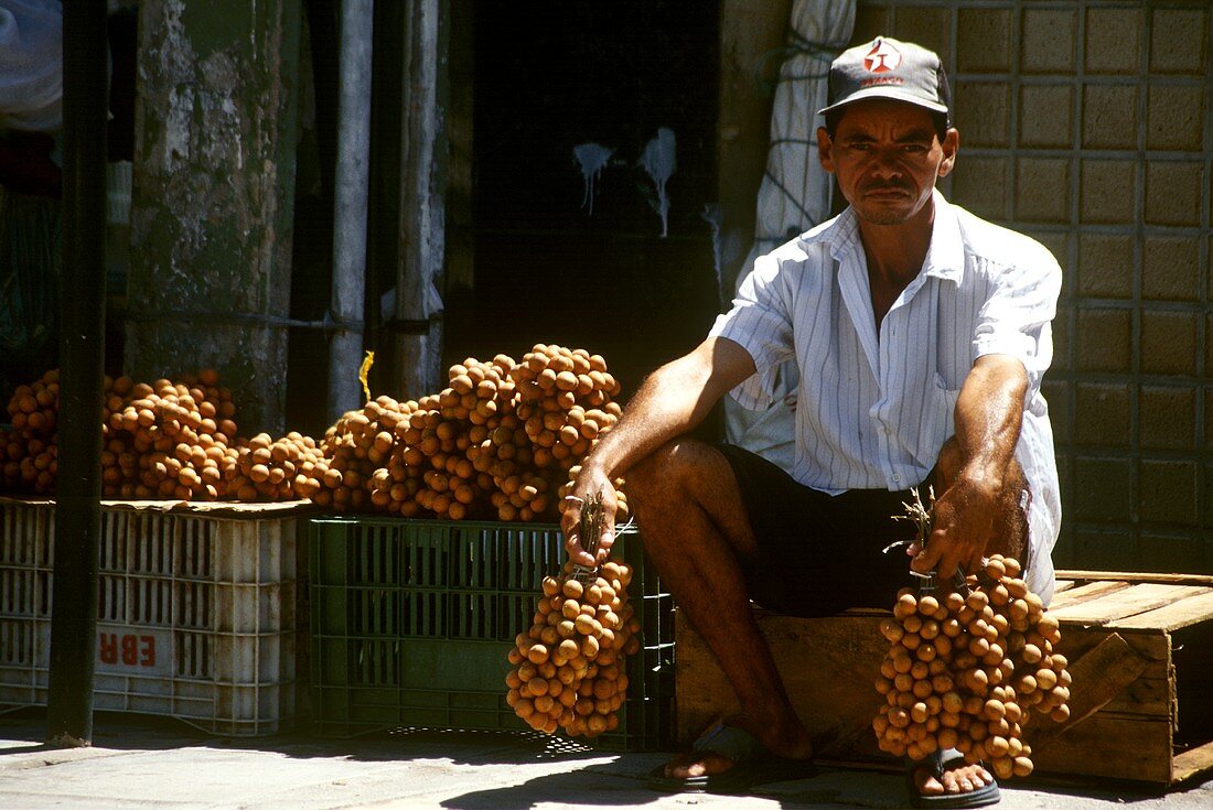 Traders with pitomba fruits (Recife, Brazil)