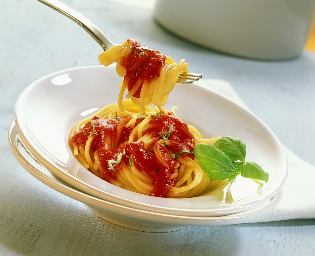 Spaghetti with tomatoes and basil on fork and plate