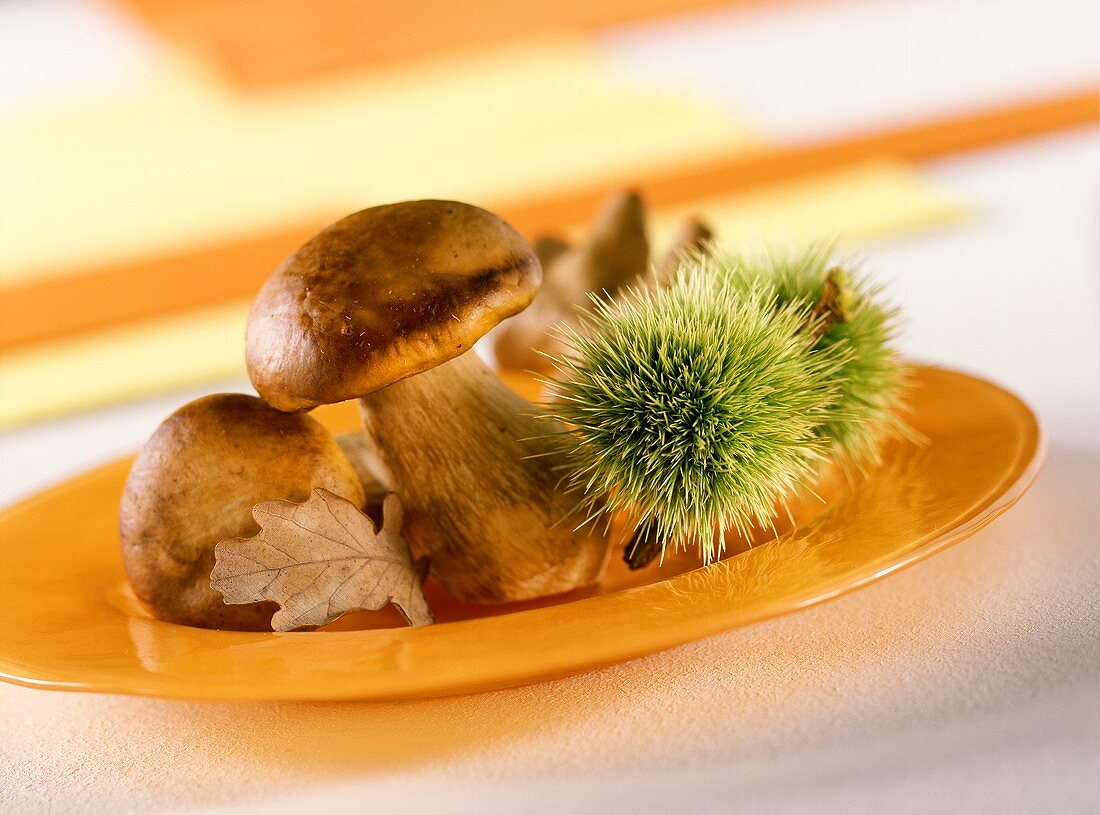 Autumn plate of ceps and chestnuts