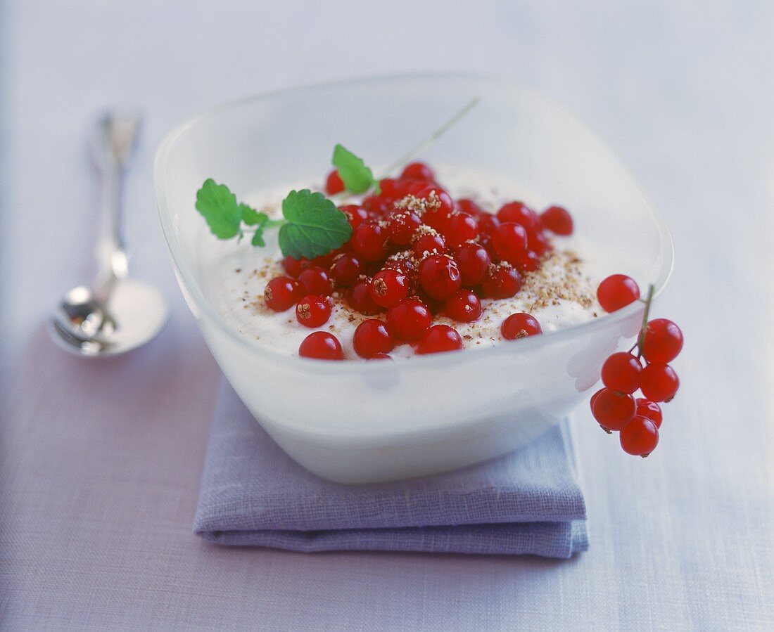 Redcurrants with cinnamon yoghurt