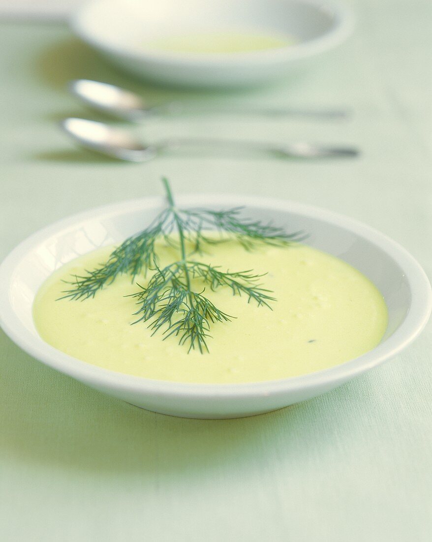 Sour cream soup with fresh dill