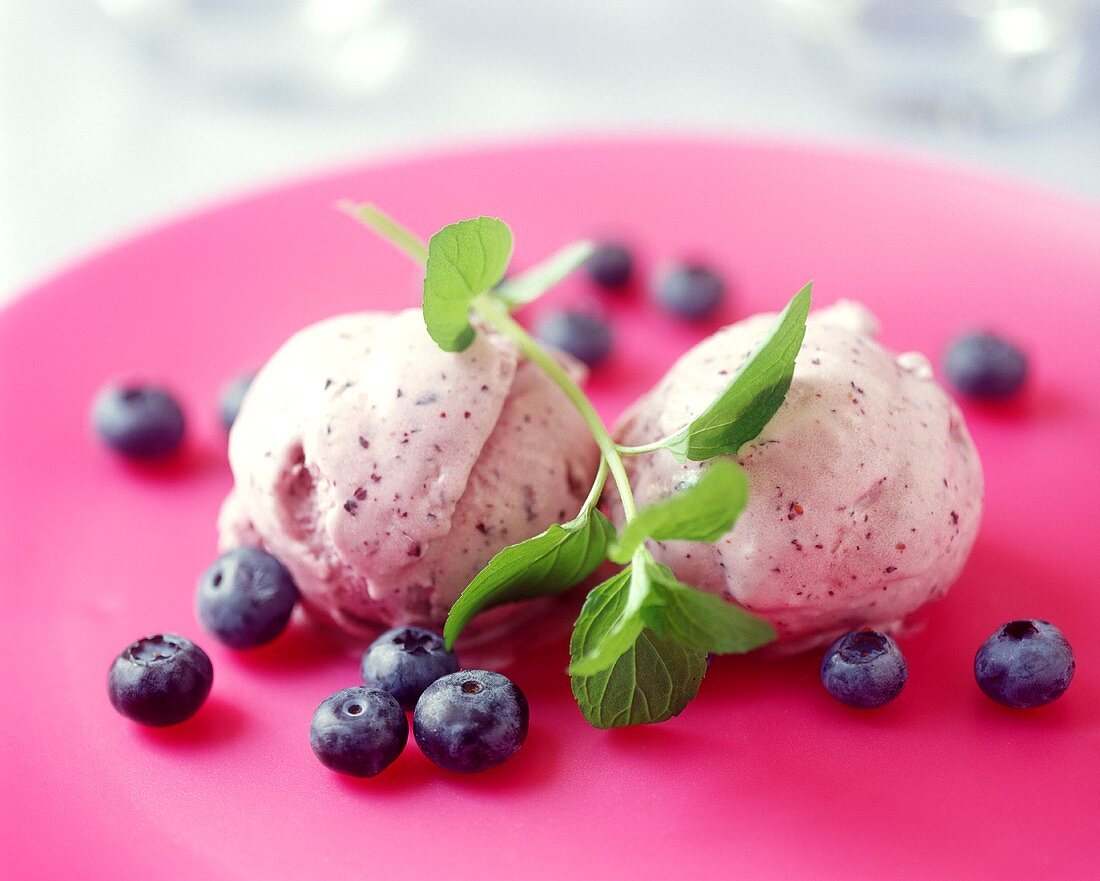 Blueberry ice cream with sprig of mint
