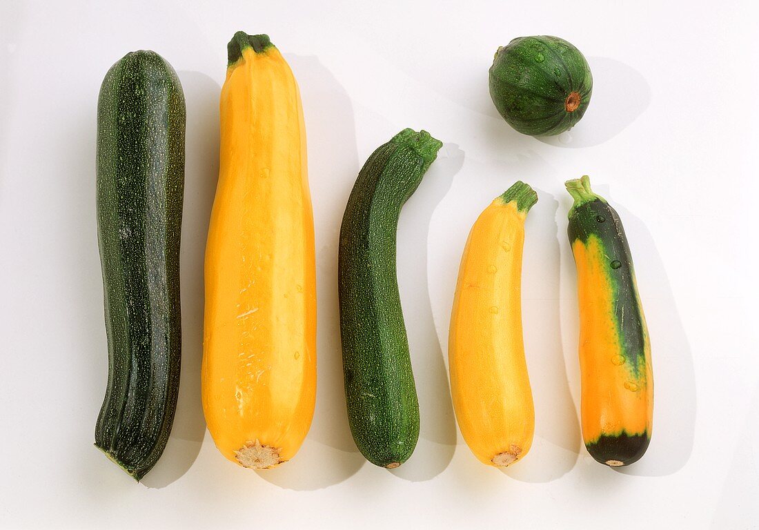 Verschiedene Zucchini