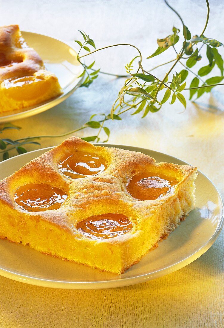 Piece of sour cream cake with apricots