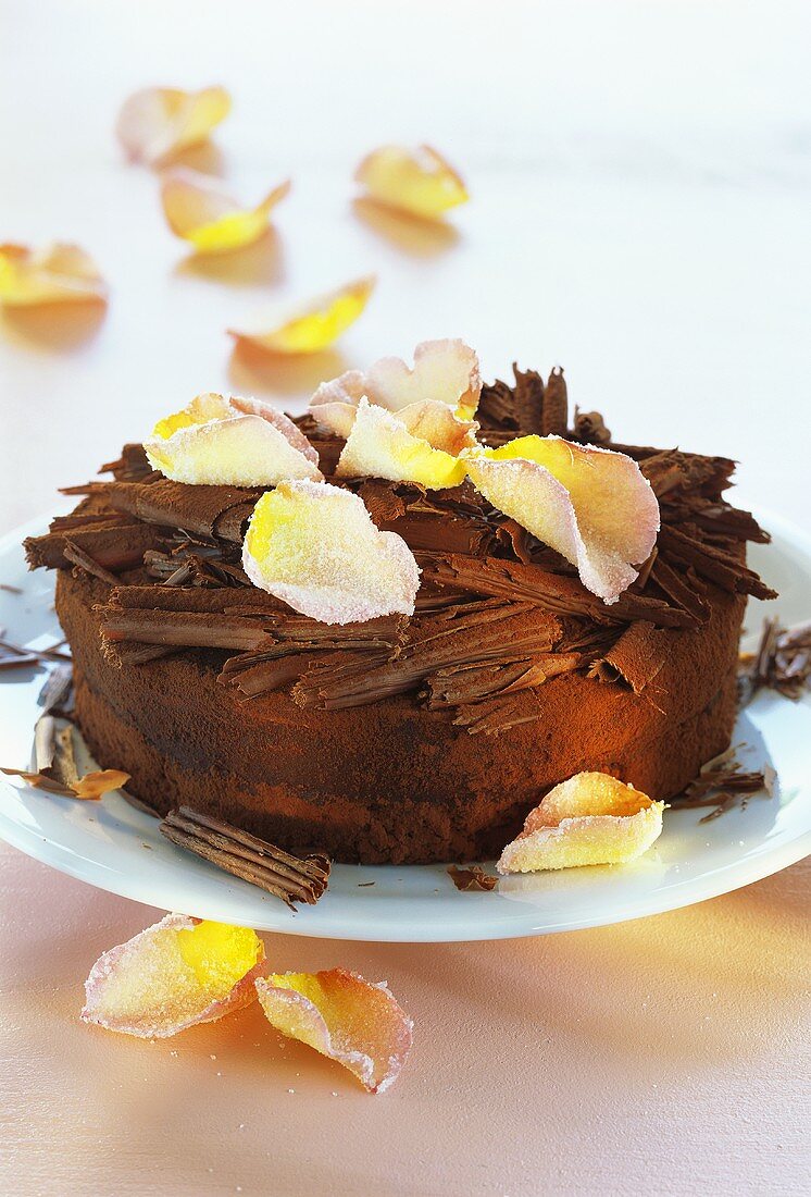 Festive espresso and mascarpone cake