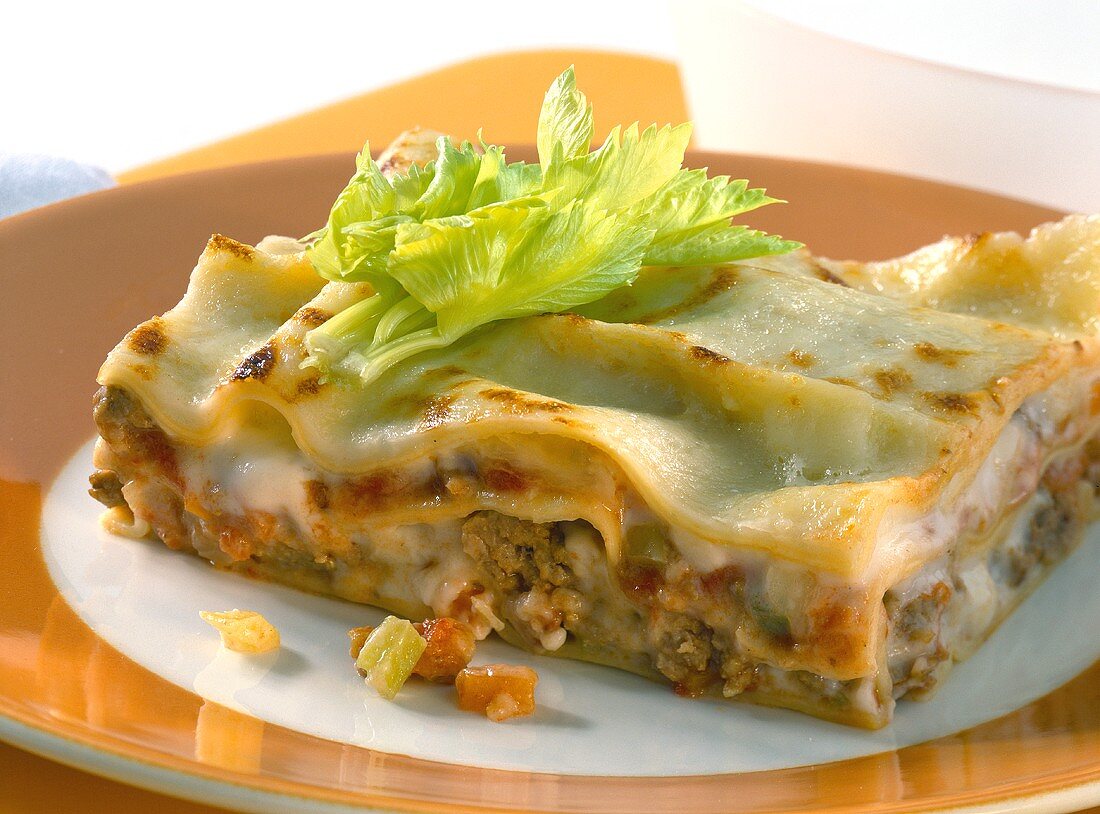 Lasagne mit Hackfleisch