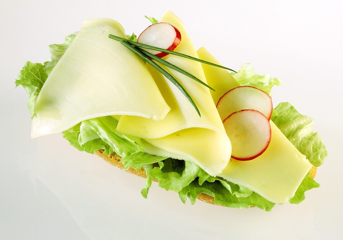 Open sandwich with cheese and lettuce leaf