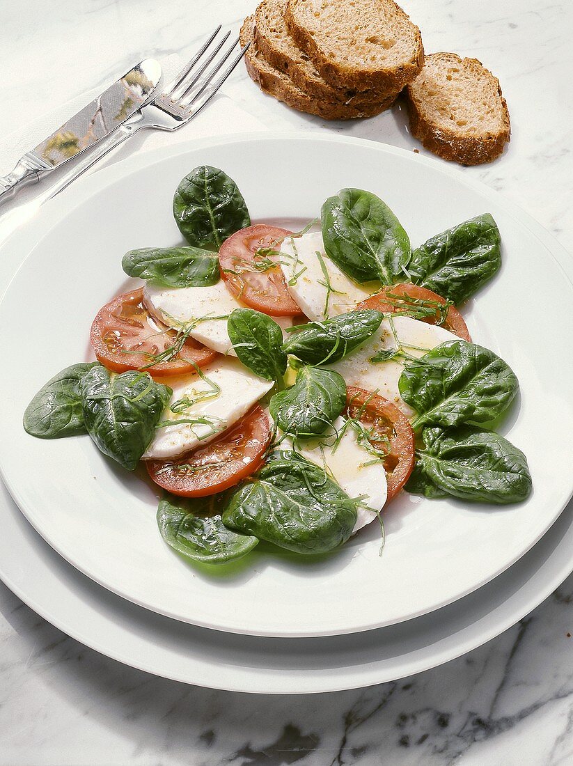 Insalata caprese (Tomaten, Mozzarella &amp; … – Bilder kaufen – 18348 StockFood
