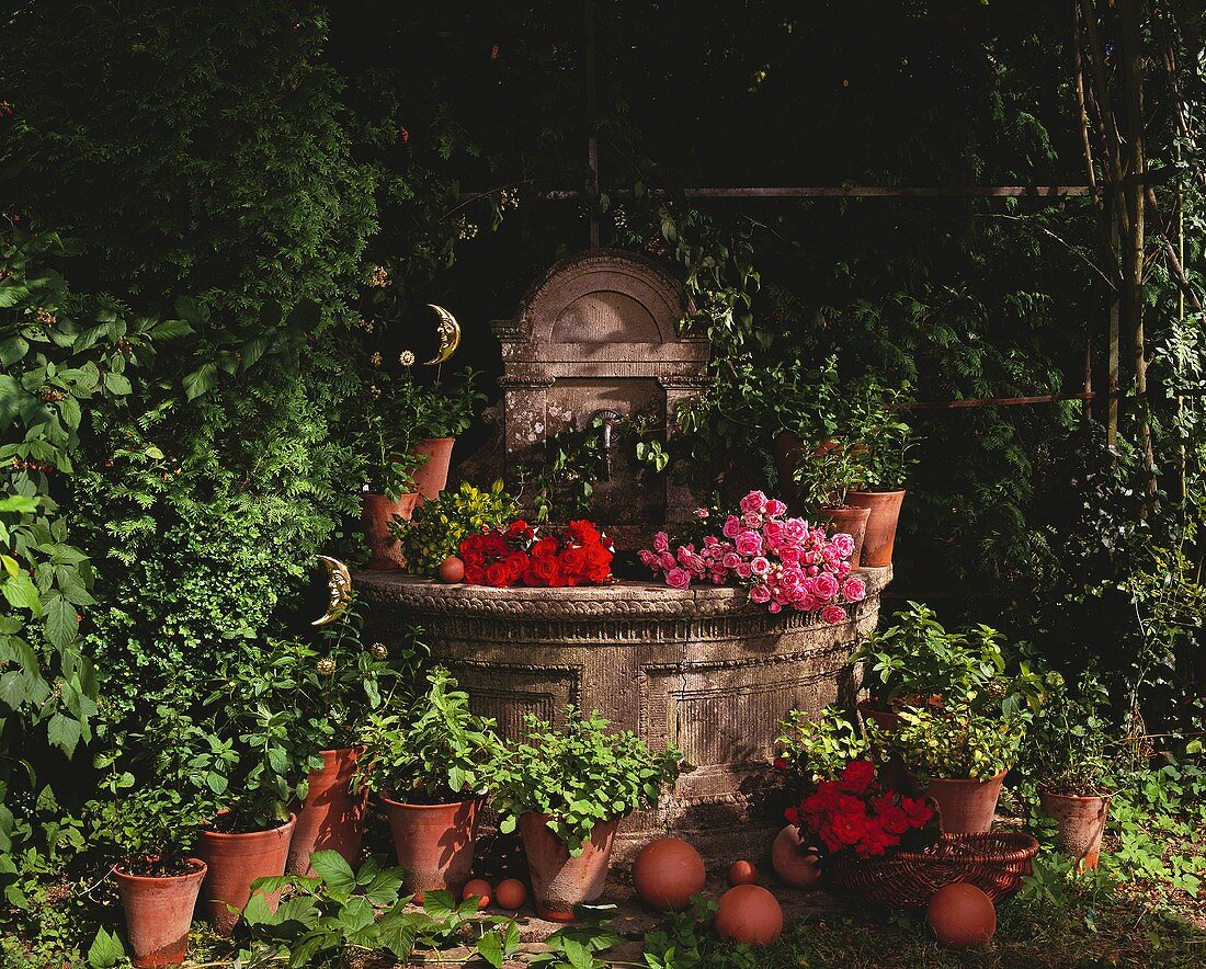 Frische Kräuter und Blumen am Wandbrunnen