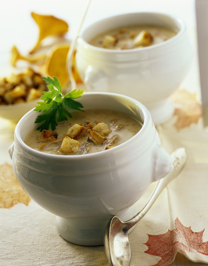 Creamed chanterelle soup with croutons
