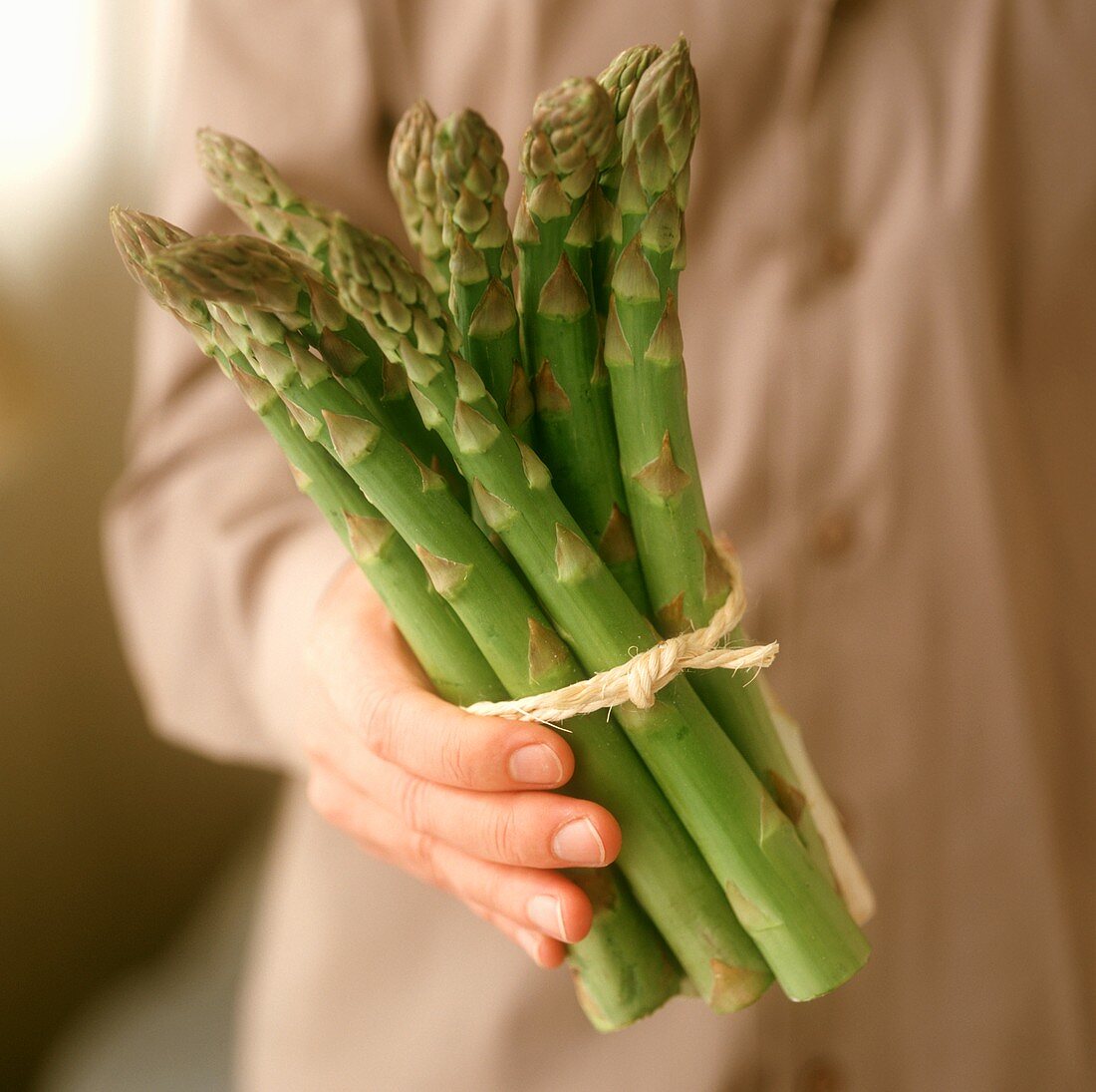 Hand hold green asparagus spears