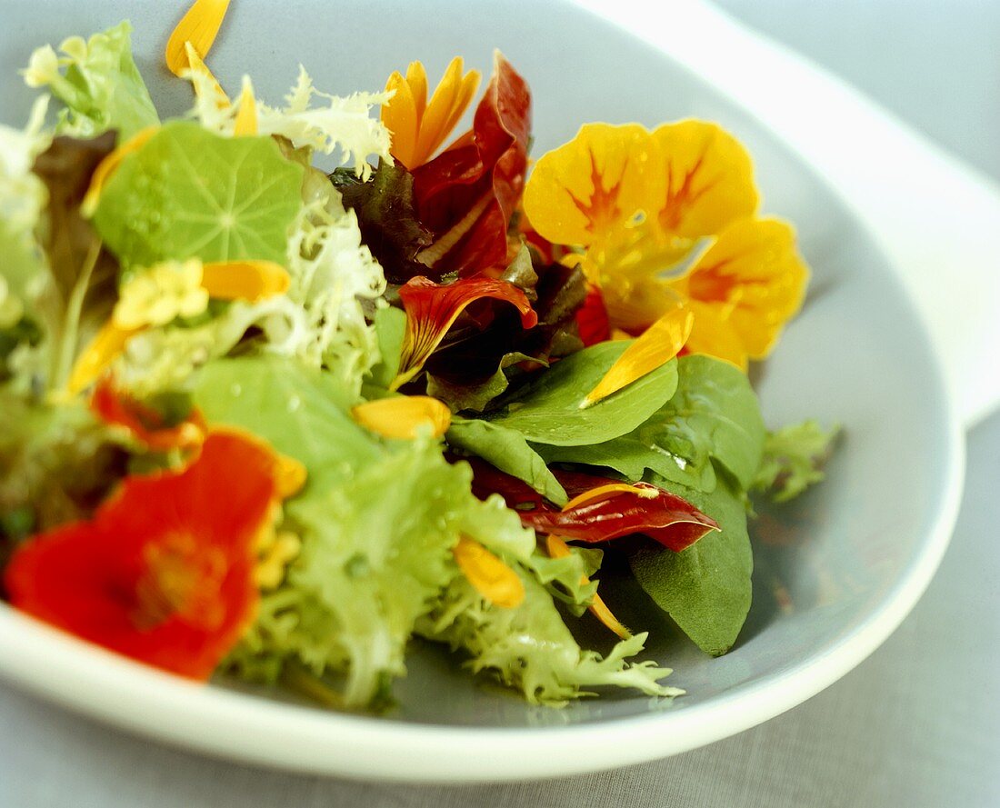 Blattsalate mit Blüten (Kapuzinerkresse)