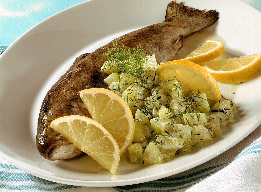 Trout (baked in foil) with cucumber salad