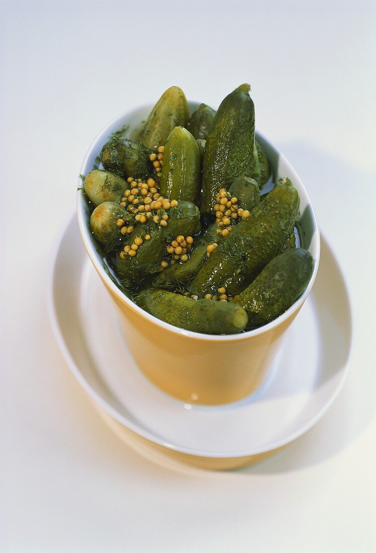Salted dill pickles