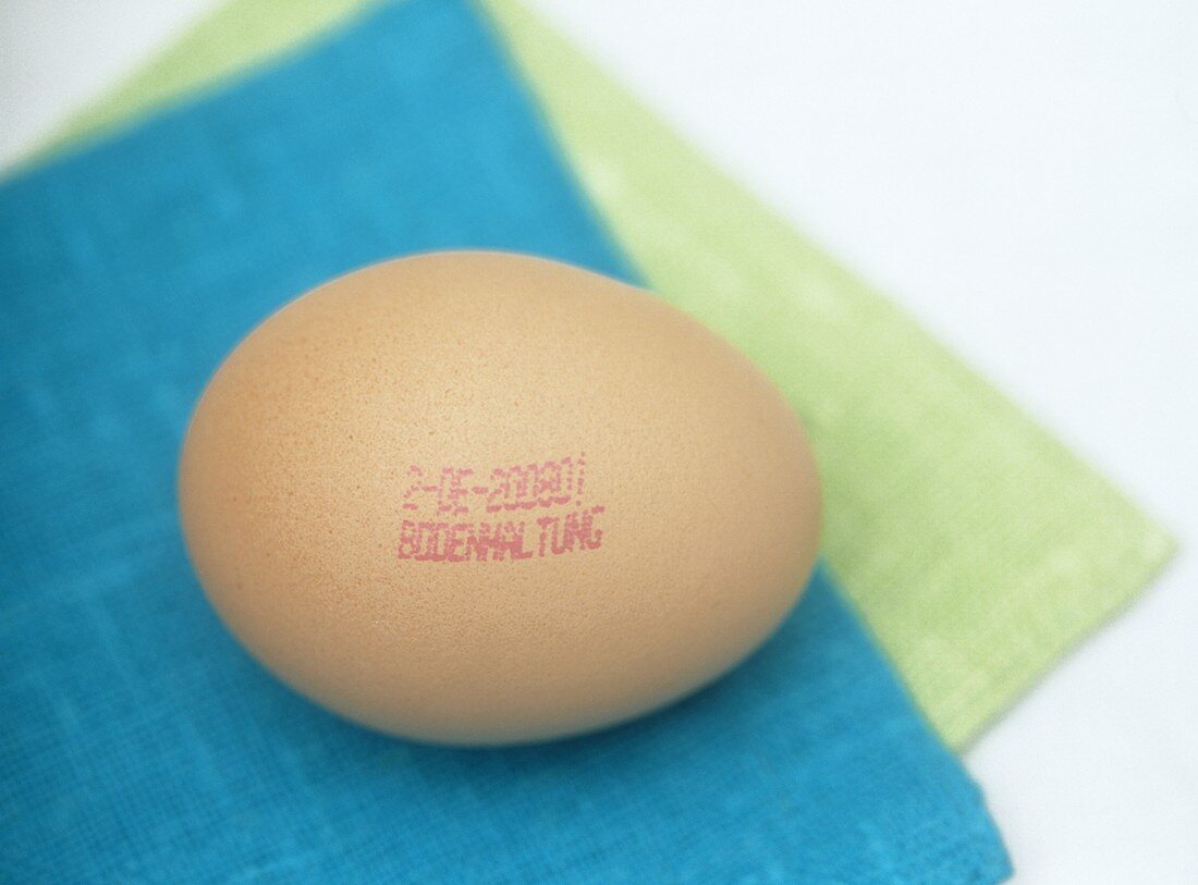 Brown barn-laid egg with stamp