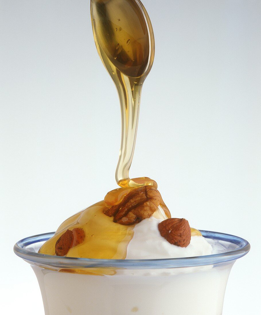 Naturjoghurt mit Nüssen und Honig (vom Löffel fliessend)