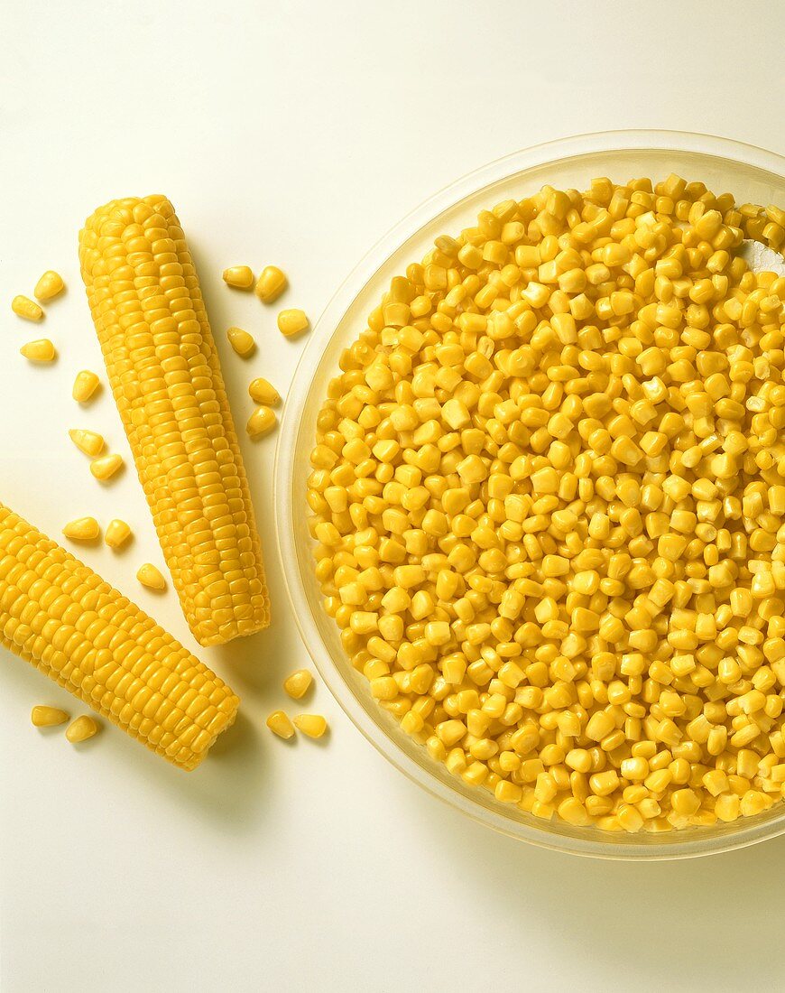 Two corncobs beside grains of corn on glass plate