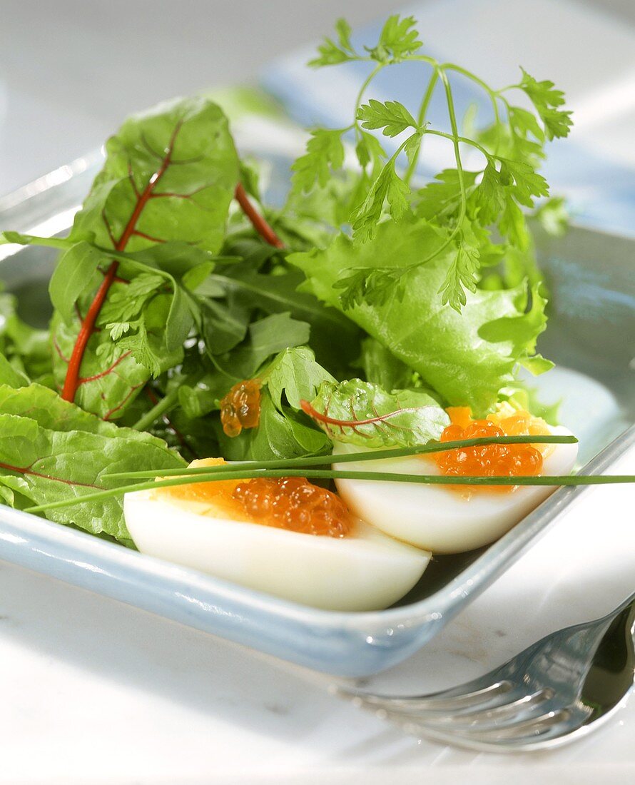 Boiled eggs with salmon caviare, with young chard leaves