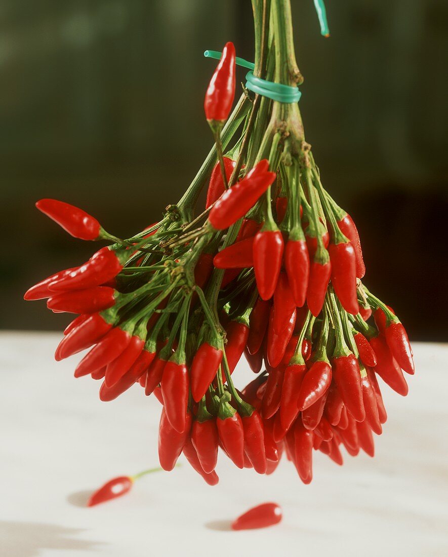 Hanging bouquet with red chili peppers