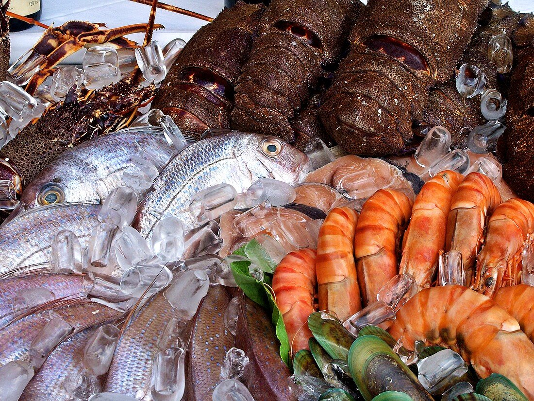 Restaurant display: prawns, salmon, sea bream, langoustes