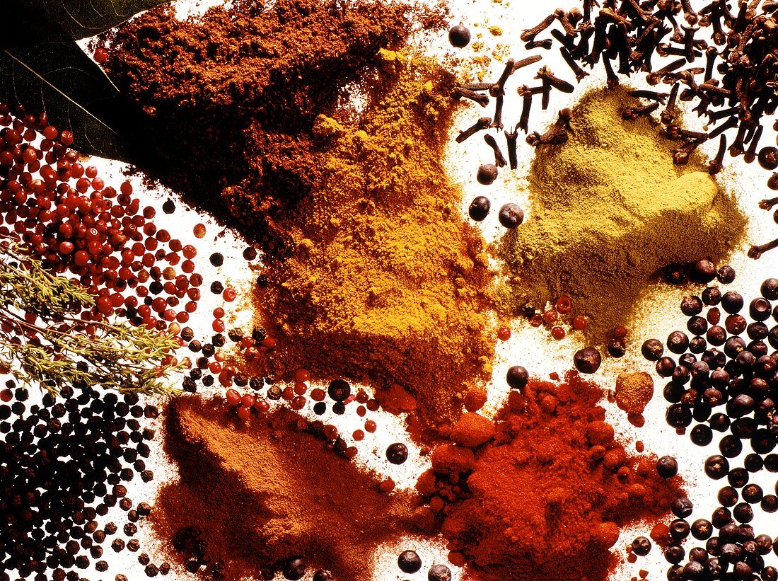 Various spices on sheet of glass