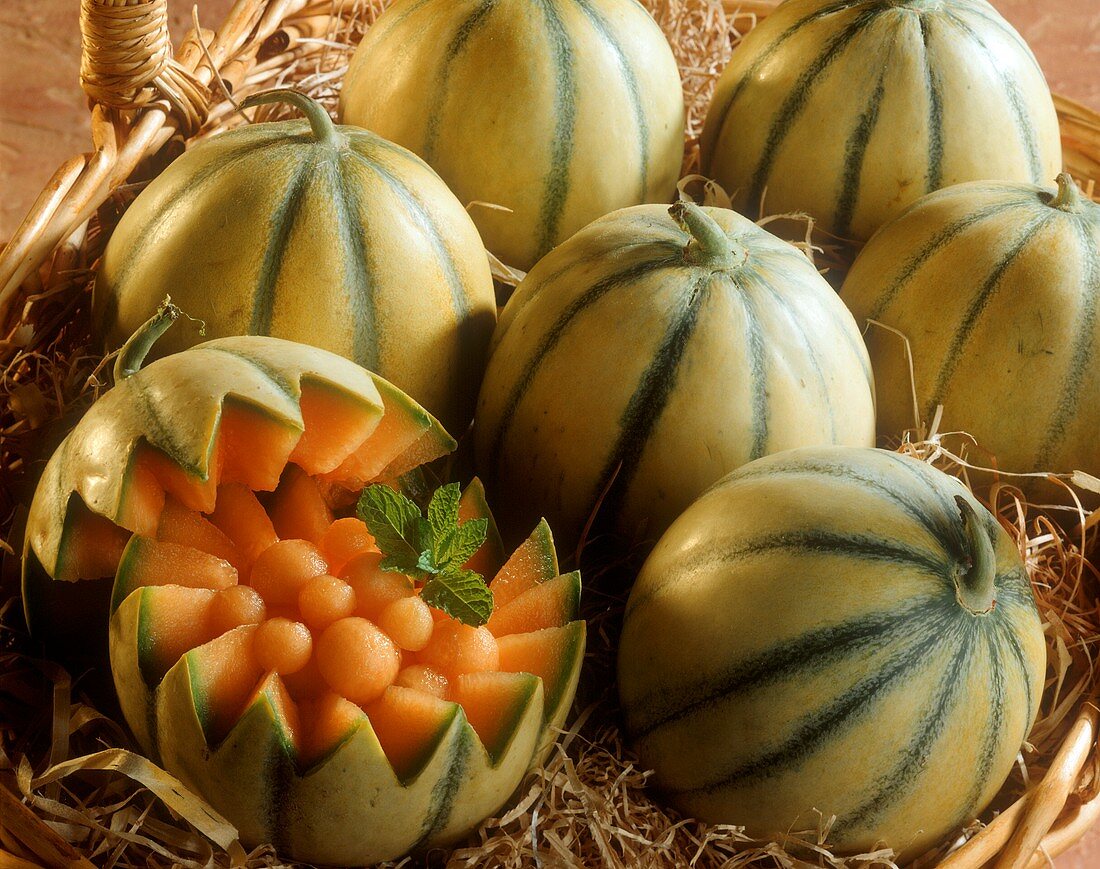 Charentais melons (Cucumis melo var. cantalupensis)