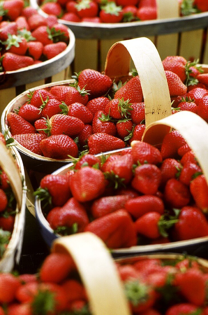 Frisch geerntete Erdbeeren in Körbchen (Provence, Frankreich)