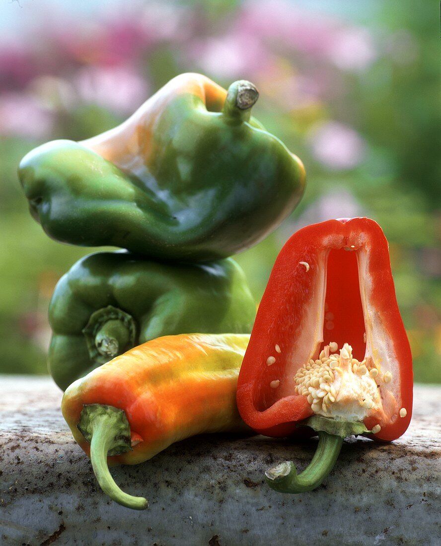 Still life with various types of peppers