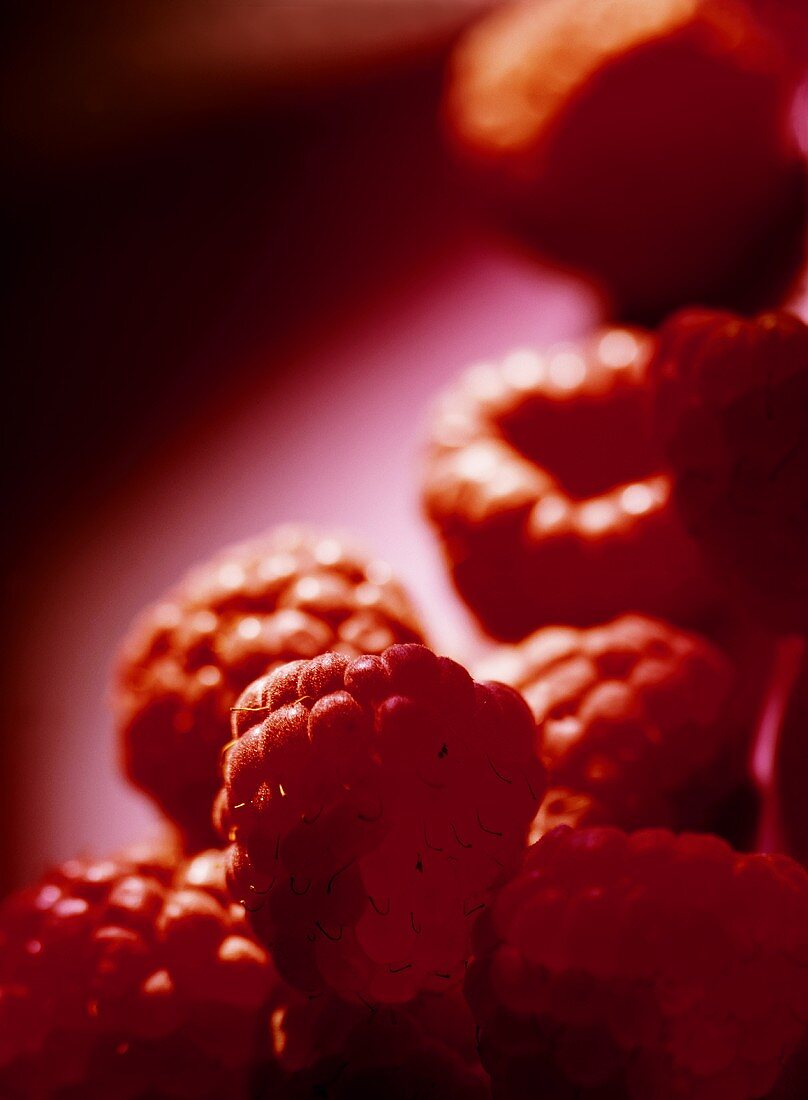 Himbeeren vor rotem Hintergrund