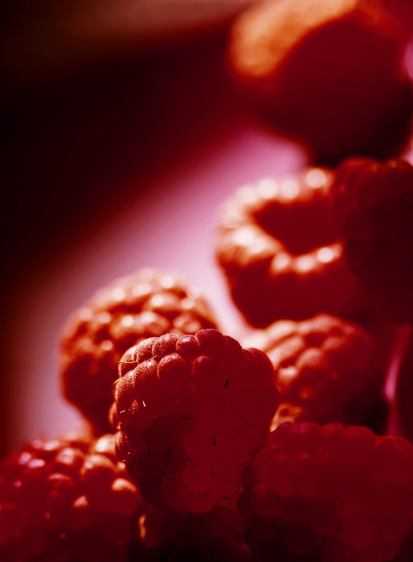 Raspberries against red background