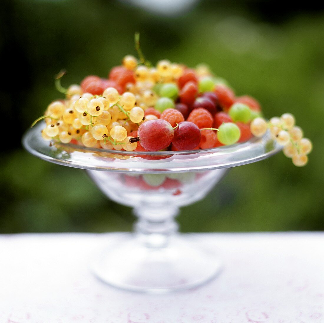 Fresh summer berries (outdoors)