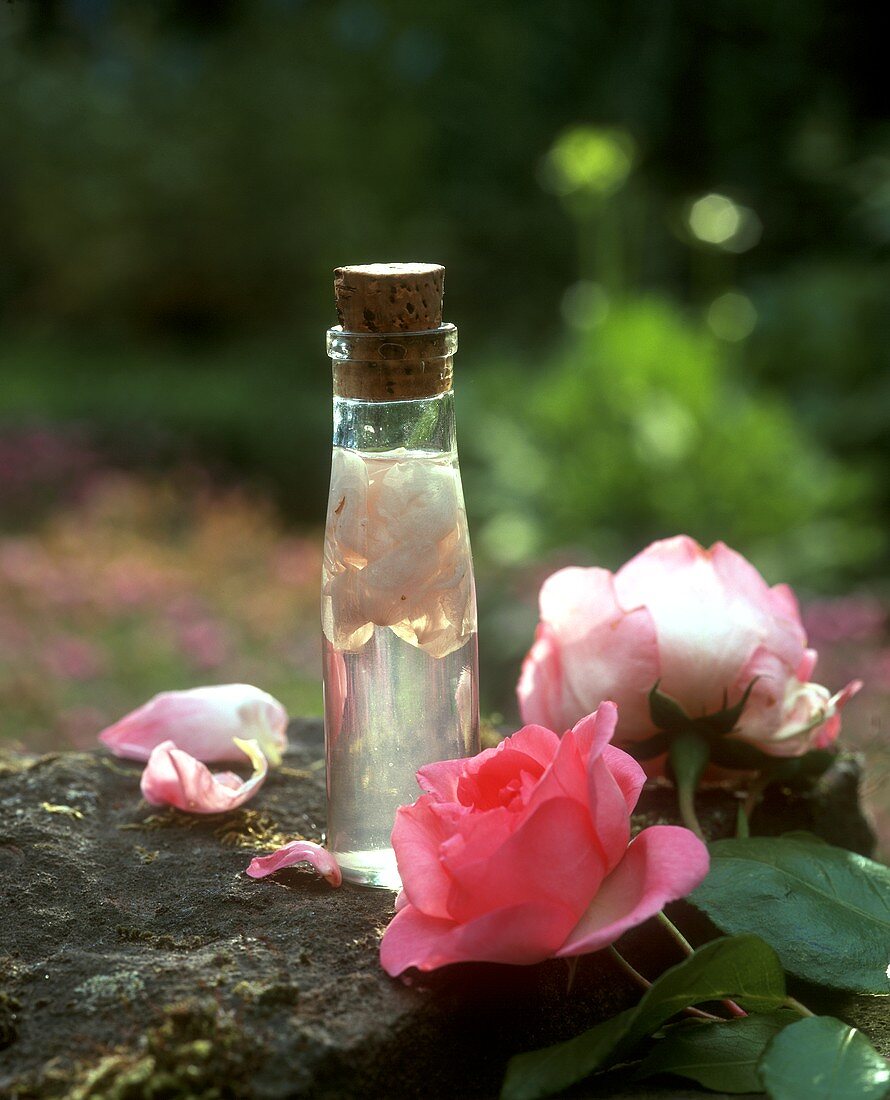 Ein Fläschchen aromatischer Rosenessig und Rosenblüten