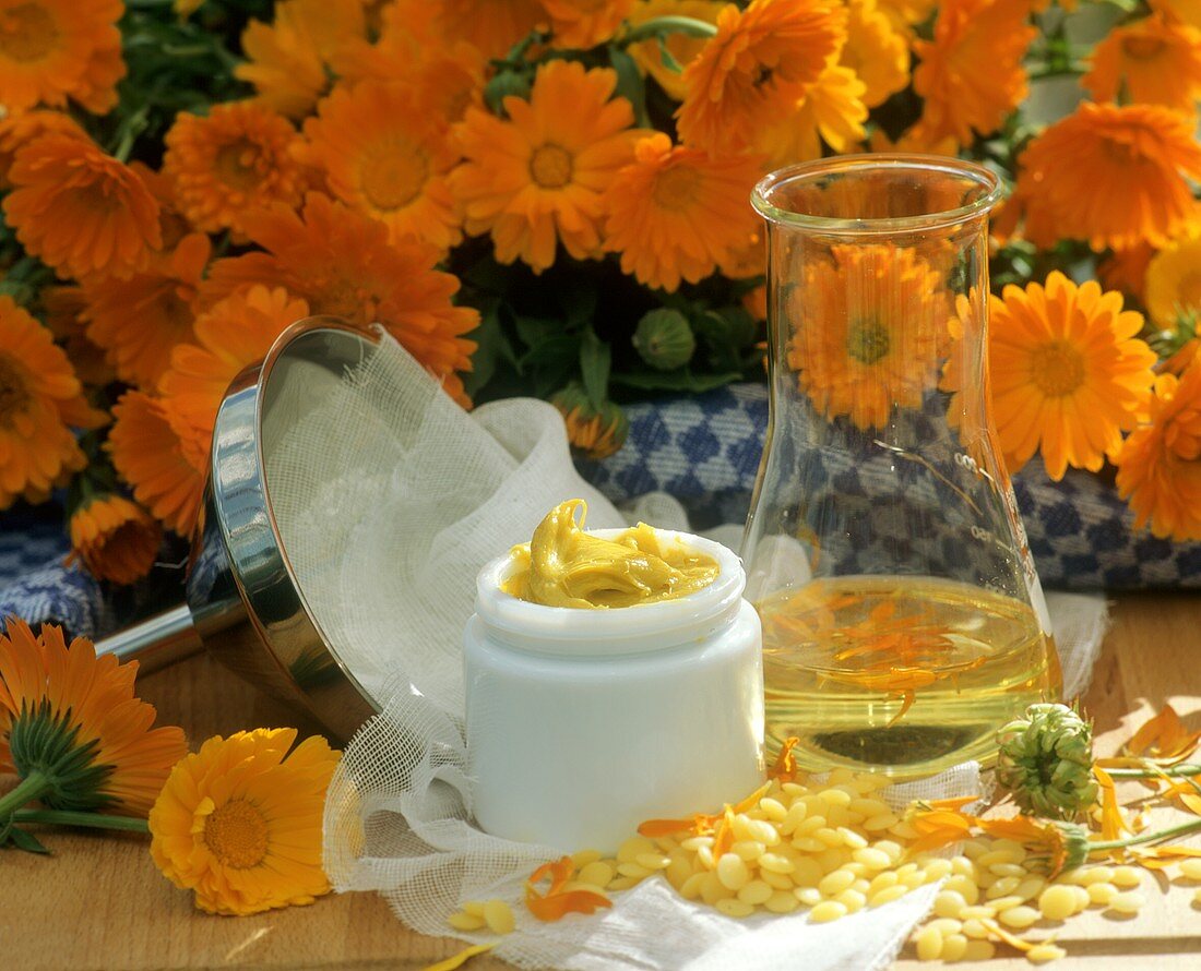 Home-made marigold ointment in crucible and ingredients