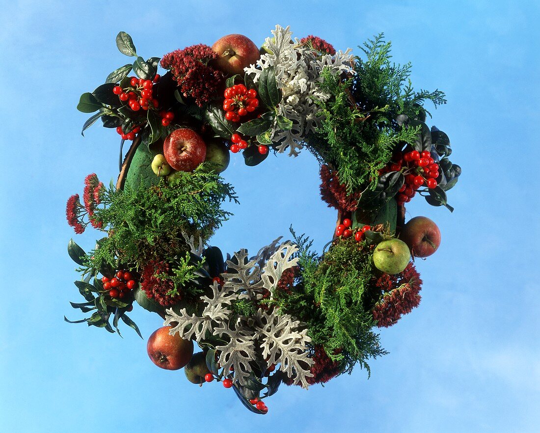 Weihnachtliches Gesteck auf blauem Untergrund